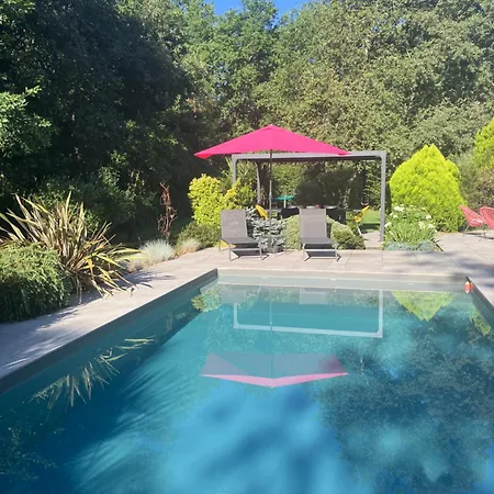 Au Coeur Des Vignobles Grand Crus De Pessac-leognan